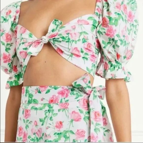 Hill House Isabella Top in Pink Roses - small NWT (MATCHING SKIRT AVAILABLE) - Picture 3 of 3